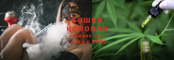 прущие крисы Няндома