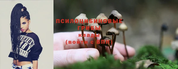 прущие крисы Няндома