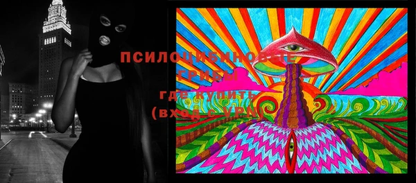 прущие грибы Нязепетровск