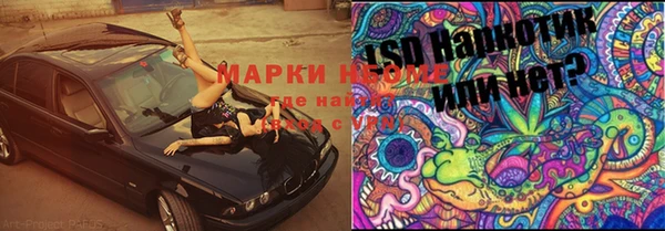 прущие крисы Няндома