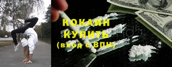 прущие крисы Няндома