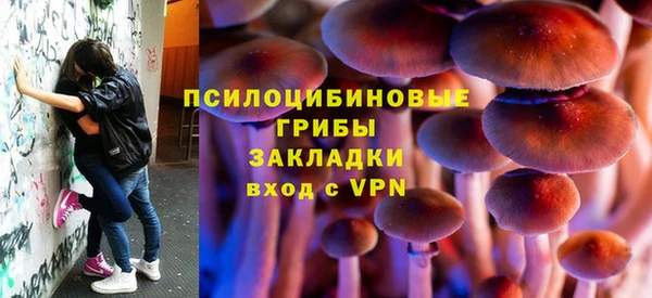 прущие грибы Нязепетровск